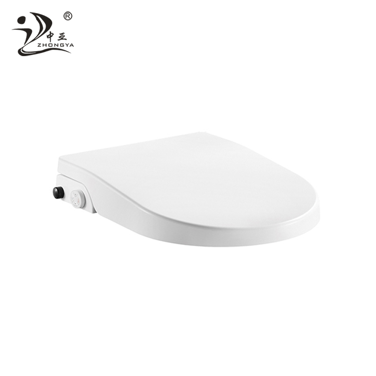 Intelligent bidet toilet seat,NON-Electricity cold intelligence toilet seat cover